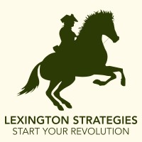 Lexington Strategies logo - Similar company to Light10 Llc