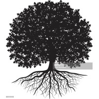 Oakhurst Partners, LLC logo - Similar company to Halyard Capital Llc