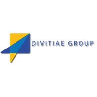 Divitiae Group logo - Similar company to Opticca Consulting Inc.