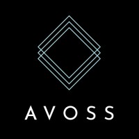 Avoss Technologies logo - Similar company to Internest