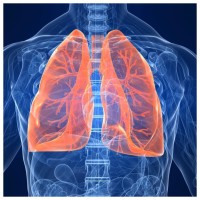 KENNETH J. FUQUAY, M.D. PA logo - Similar company to Sec Tech Group