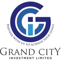 Grand City Investment Ltd logo - Similar company to Elro Vision Ltd