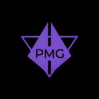 Prism Management Group logo - Similar company to Level Inc.