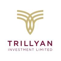 Trillyan Investment Limited logo - Similar company to O'Adventure Ltd