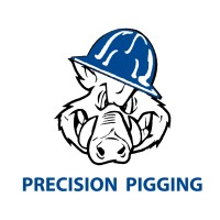 Precision Pigging Holdings, LLC logo - Similar company to Ice Pigging™