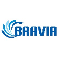 Bravia Techno Solutions Pvt. Ltd. - India logo - Similar company to Logix Online Solutions