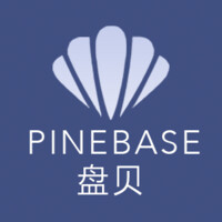 Pinebase.com logo - Similar company to Boxmed Chile