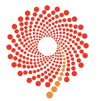 Vermillion Global logo - Similar company to Vikas Datta