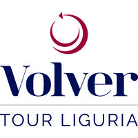 Volver Tour Operator logo - Similar company to Iscra Tour Operator For Italy And Europe
