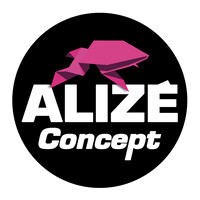ALIZE CONCEPT logo - Similar company to Vpp 30