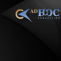 ad-HOC Consulting logo - Similar company to Skadio Gmbh