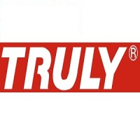 Truly Semiconductors Ltd logo - Similar company to Torus Electronics