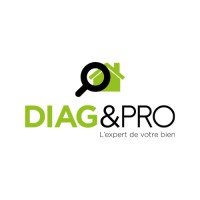 DIAG & PRO logo - Similar company to Ute 4X4