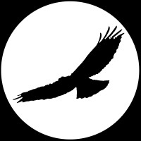 Zaro Pictures logo - Similar company to Setv.Ie