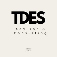 TDES Asesoría logo - Similar company to Ammde
