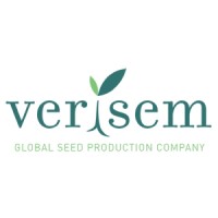 Verisem Seeds logo - Similar company to Strube Uk Ltd