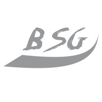 BSG Perú logo - Similar company to Funciton.
