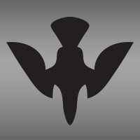 Deepflight: High Performance Personal Submarines