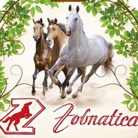 Zobnatica Tourist Resort logo - Similar company to Freyssinet Srbija