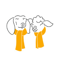 Not Wool logo - Similar company to Brandyourself