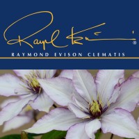 Raymond J. Evison Ltd logo - Similar company to West Palm Beach Library Foundation