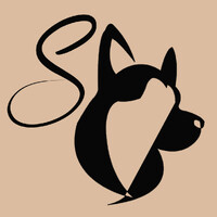 Hey Saika logo - Similar company to Tsharp