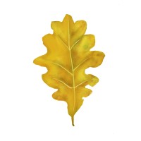 Gold and Revolution logo - Similar company to Faratahghigh Sepahan