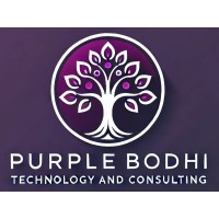 PurpleBodhi Technology and Consulting logo - Similar company to Techmeup