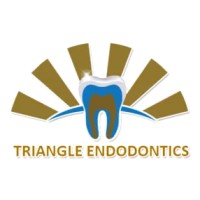 Triangle Endodontics logo - Similar company to Vaf-Co