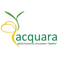 Acquara Management Consultant logo - Similar company to Project Management Consultant - Panama