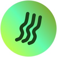 Kaiso One Ltd logo - Similar company to Hullcss - Hull Computer Science Society