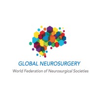 WFNS Global Neurosurgery Committee logo - Similar company to Pasno