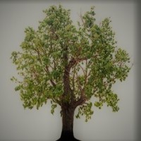 Reimer Growth Consulting