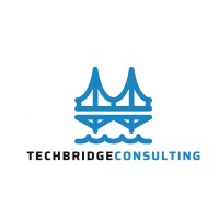 TechBridge Consulting logo - Similar company to Headera Ltd