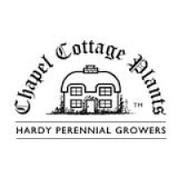 CHAPEL COTTAGE PLANTS LIMITED logo - Similar company to Albanwise Limited