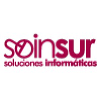 Soinsur