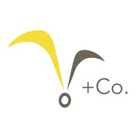V+Co. Consulting