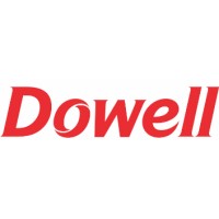 Shanghai Dowell Technology Co. Ltd. logo - Similar company to Agc Engineering