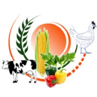 SOANORTE logo - Similar company to Prime Performance Partners