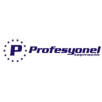 Profesyonel Logistics logo - Similar company to Tuvtrans Logistics