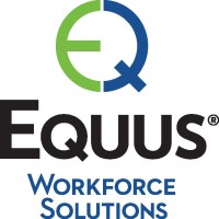 Equus Workforce Solutions Orange County, CA logo - Similar company to Think20 Labs