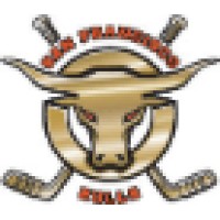 San Francisco Bulls Professional Hockey Team