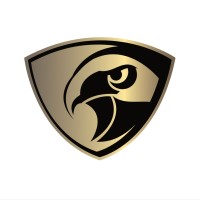 HawkVision India logo - Similar company to Baancha