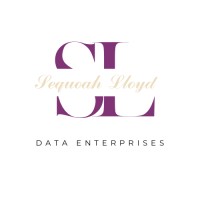 SL Data Enterprises, LLC logo - Similar company to Do-Matic