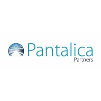 Pantalica Partners logo - Similar company to Cfi Brasil