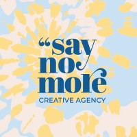 Say No More logo - Similar company to Giversforgood