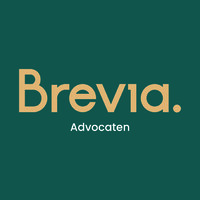 Brevia advocaten logo - Similar company to Projectos