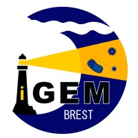 iGEM Brest logo - Similar company to Thalassa Marine Research & Environmental Awareness