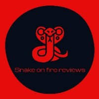 Snake on fire reviews logo - Similar company to Studio Blankpage