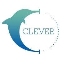 Clever Safety logo - Similar company to Omni Techs